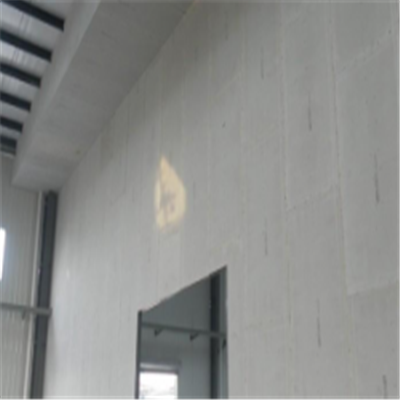霍州新型建筑材料掺多种工业废渣的ALC|ACC|FPS模块板材轻质隔墙板